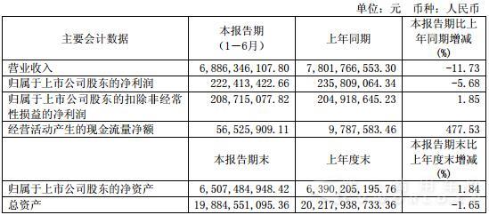 東風(fēng)股份會(huì)計(jì)數(shù)據(jù).jpg